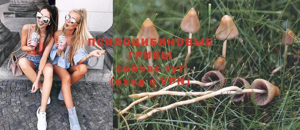 винт Алексеевка